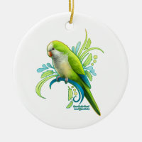 Green Quaker Parrot