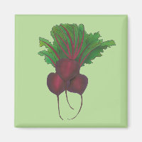 Green Red Beet Beetroot Vegetable Garden Kitchen