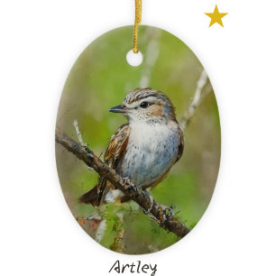 Green Red Eyed Vireo Bird Painting Year Christmas Ceramic Tree Decoration