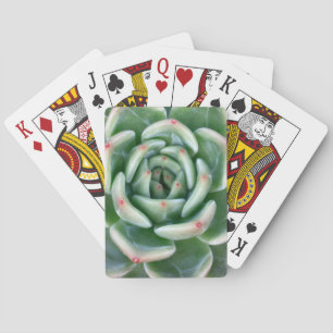 Green Red Tipped Succulent Playing Cards