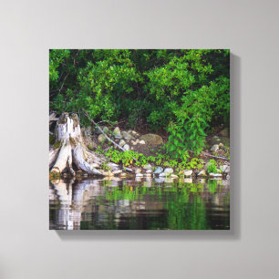 Green Reflections Canvas Print
