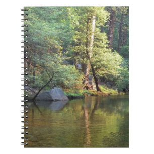 Green Reflections Spiral Notebook