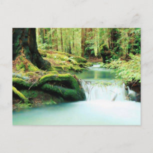 Green River Falls Postcard