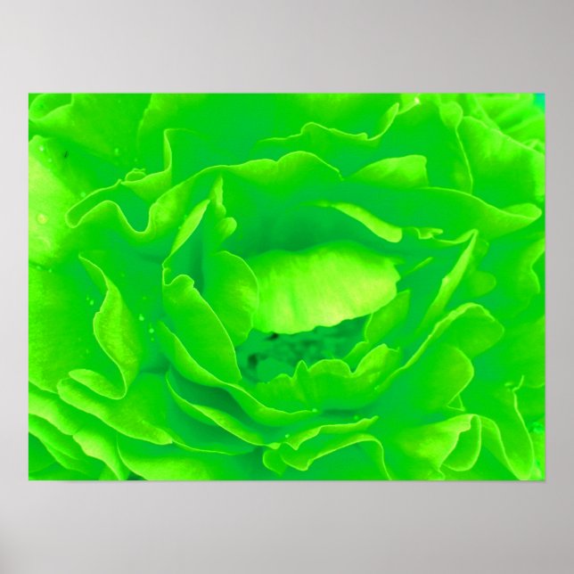 Green Rose Poster (Front)