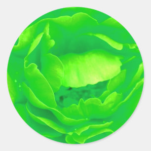 Green Rose Sticker - Customisable