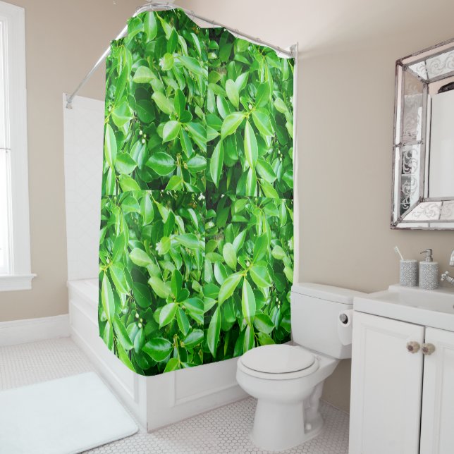 Green Rubber Tree Leaves, Shower Curtain (In Situ)