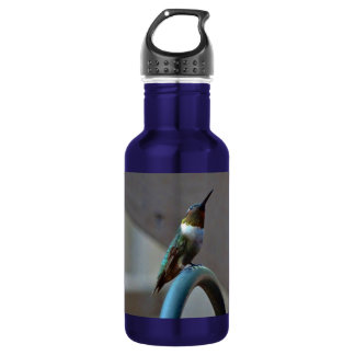 Green Ruby little Hummingbird 532 Ml Water Bottle