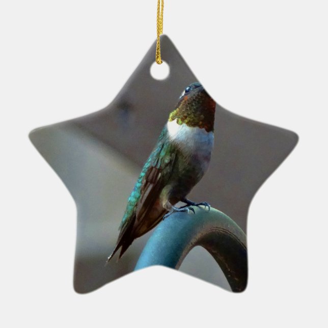 Green Ruby little Hummingbird Ceramic Tree Decoration (Front)
