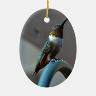 Green Ruby little Hummingbird Ceramic Tree Decoration