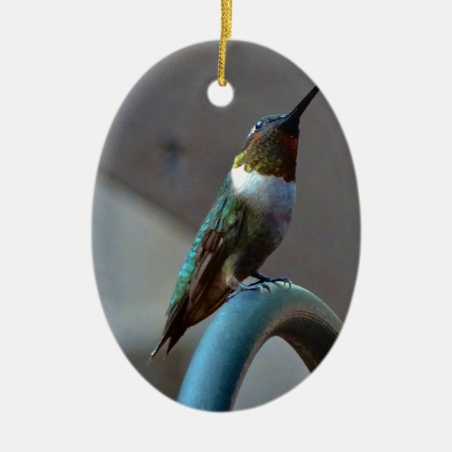 Green Ruby little Hummingbird Ceramic Tree Decoration (Front)