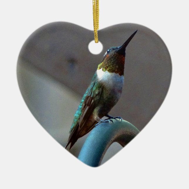 Green Ruby little Hummingbird Ceramic Tree Decoration (Front)