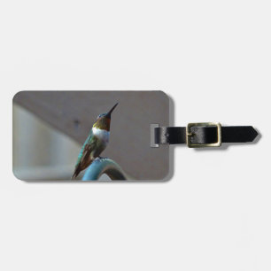 Green Ruby little Hummingbird Luggage Tag