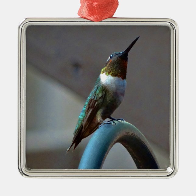 Green Ruby little Hummingbird Metal Tree Decoration (Front)