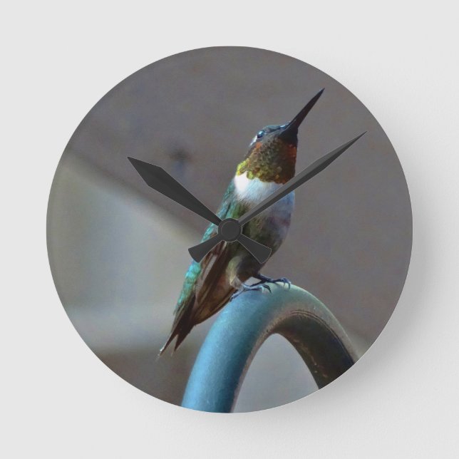 Green Ruby little Hummingbird Round Clock (Front)