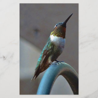 Green Ruby little Hummingbird Stationery