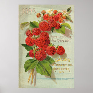 Green’s Nursery Co. Advertisement Poster