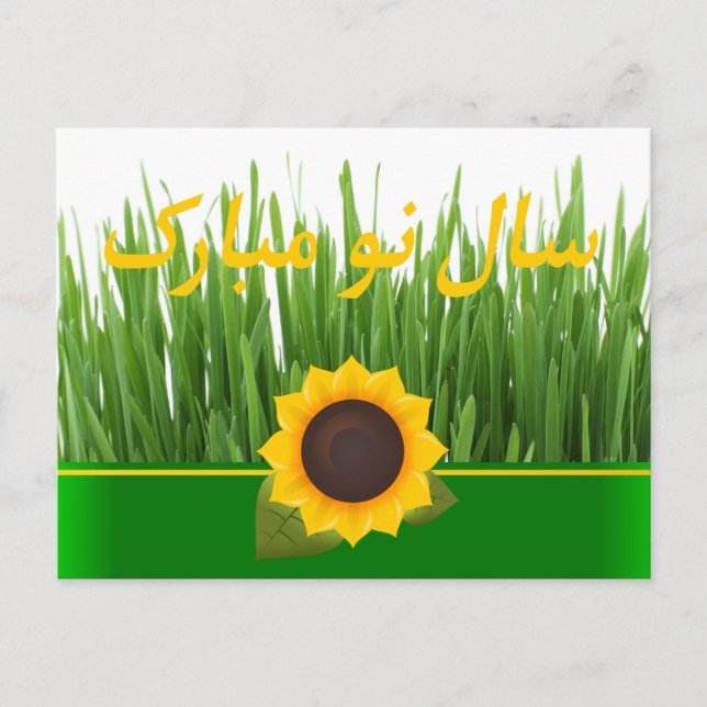 Green Sabzeh Sunflower Persian New Year Nowruz Holiday Postcard (Front)