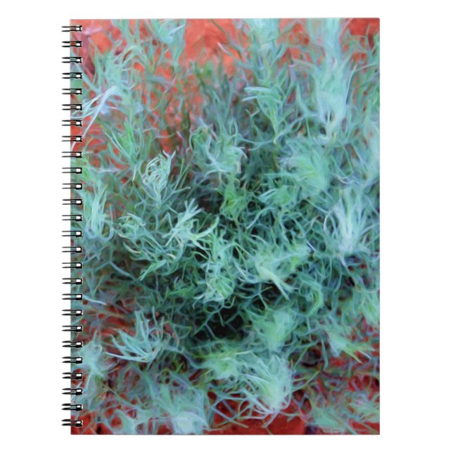 Green Sage on Red Sand Spiral Notebook (Front)