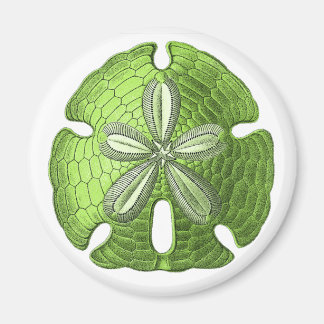 Green Sand Dollar Magnet