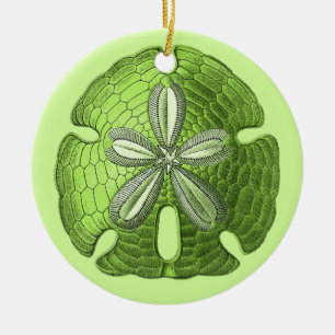 Green Sand Dollar Ornament