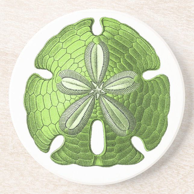 Green Sand Dollar Stone Coaster (Front)