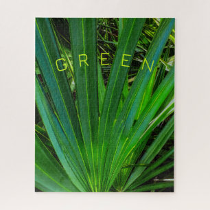 GREEN Saw Palmetto Puzzle