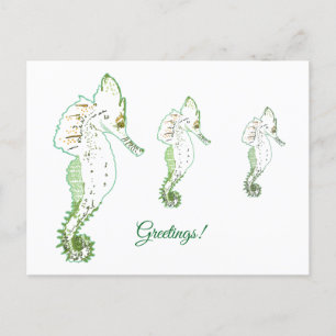 Green Sea HorseGreetings Postcard