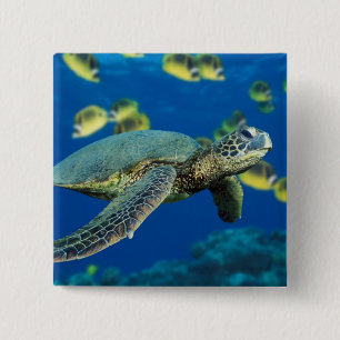 Green Sea Turtle 15 Cm Square Badge