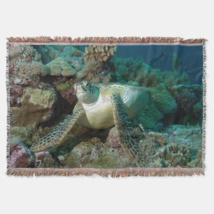 Green Sea Turtle after resting among coral reef Throw Blanket