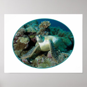 Green Sea Turtle at corals - Photographic Design   Poster