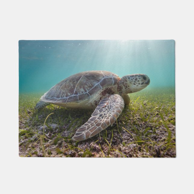 Green Sea Turtle At Dusk | Akumal Bay Doormat (Front)