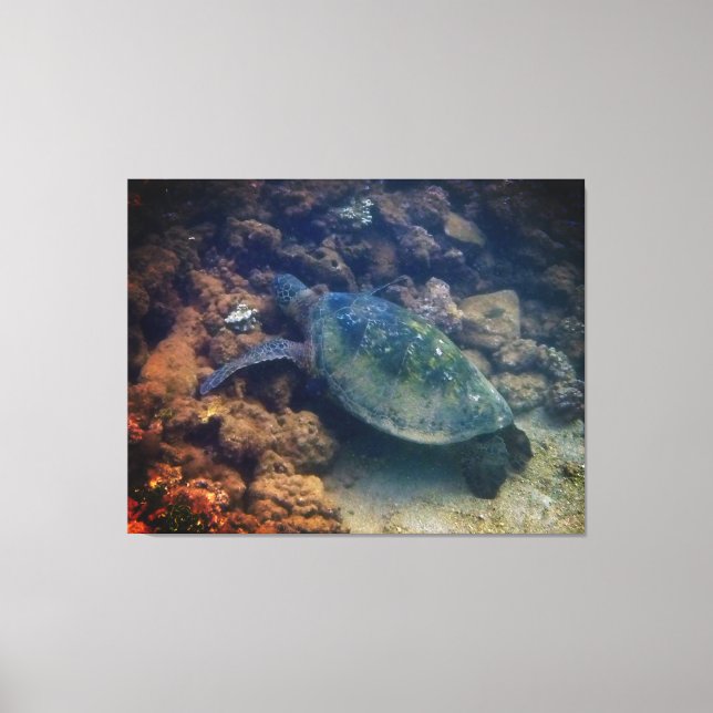 Green Sea Turtle Canvas Print (Front)