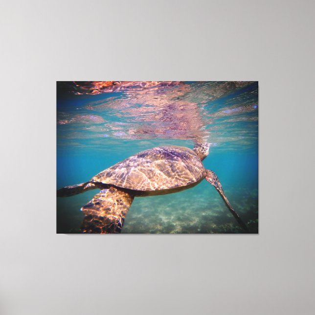 Green Sea Turtle Canvas Print (Front)