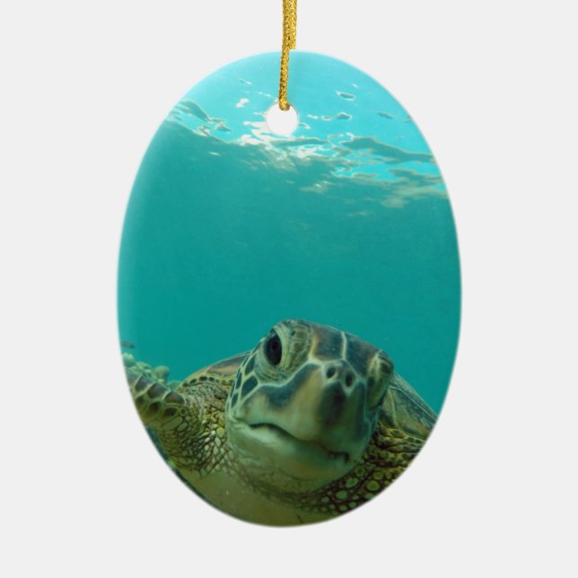 Green Sea Turtle Ceramic Tree Decoration (Front)