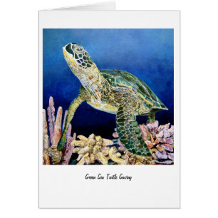 Green Sea Turtle Gazing