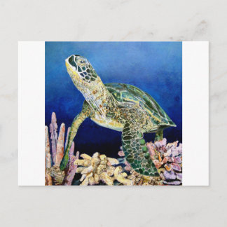 Green Sea Turtle Gazing Postcard