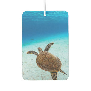 Green sea turtle, Green turtle, Sea turtle Car Air Freshener
