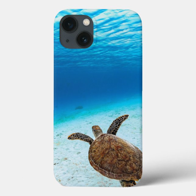 Green sea turtle, Green turtle, Sea turtle Case-Mate iPhone Case (Back)