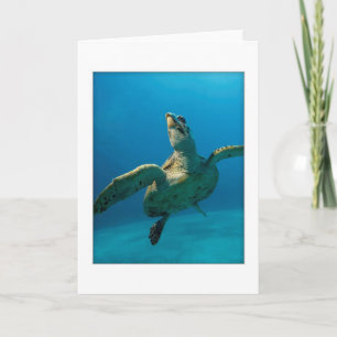 Green Sea Turtle Greeting Card