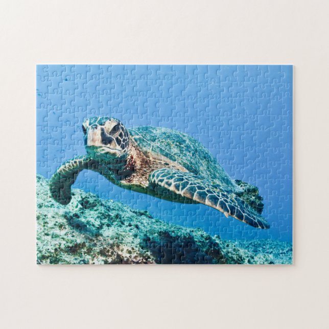 Green Sea Turtle  Jigsaw Puzzle (Horizontal)
