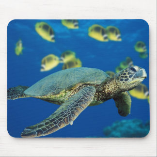 Green Sea Turtle Mouse Pad