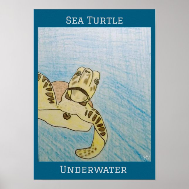Green Sea Turtle Poster (Front)