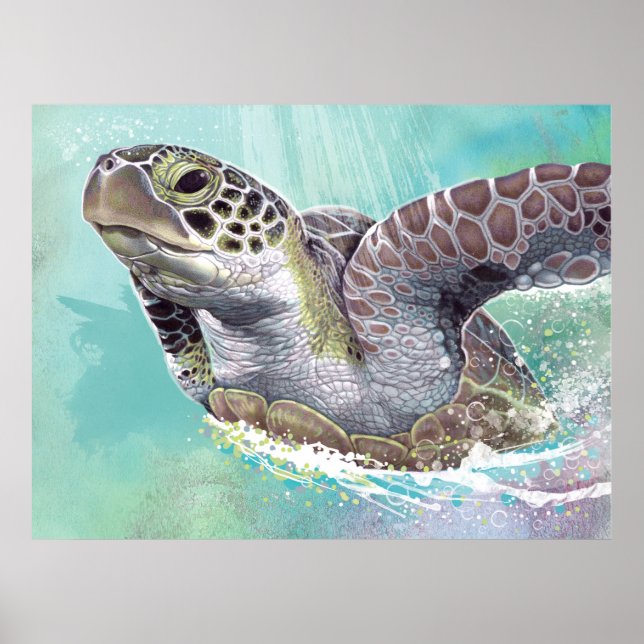 Green Sea Turtle Poster (Front)