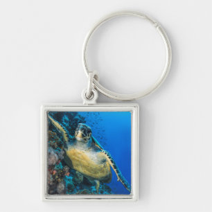 Green Sea Turtle Red Sea Key Ring