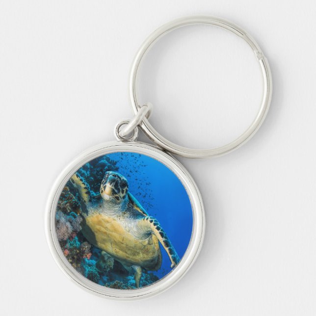 Green Sea Turtle | Red Sea Key Ring (Front)