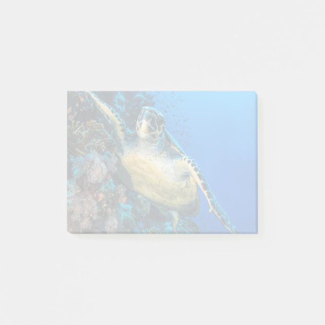 Green Sea Turtle | Red Sea Post-it Notes (Front)
