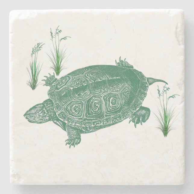 Green Sea Turtle Stone Coaster (Front)