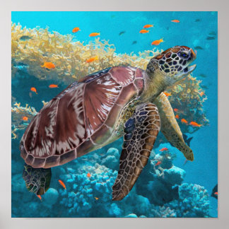 Green Sea Turtle Swimming Near Coral Reef Poster