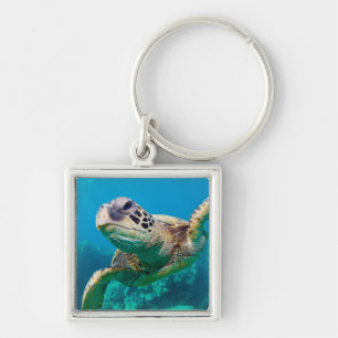 Green Sea Turtle Swimming Over Coral Reef Hawaii Key Ring