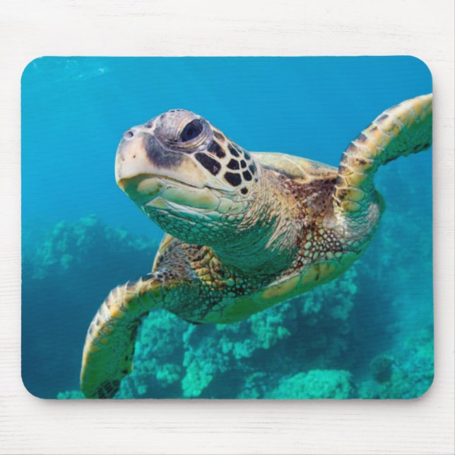 Green Sea Turtle Swimming Over Coral Reef |Hawaii Mouse Pad (Front)